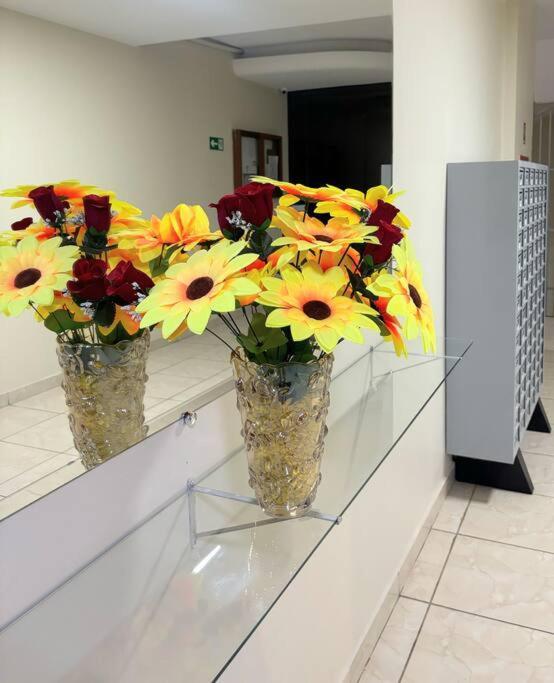 Appartement Ape Darcy Ribeiro à Brasília Extérieur photo